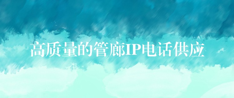 高质量的管廊IP电话供应 高质量的管廊IP电话供应