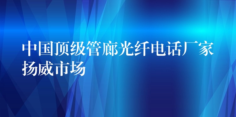 中国顶级管廊光纤电话厂家扬威市场