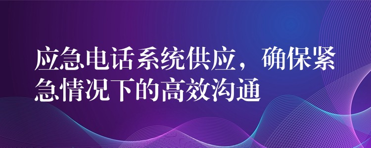 应急电话系统供应,确保紧急情况下的高效沟通 应急电话系统供应,确保紧急情况下的高效沟通