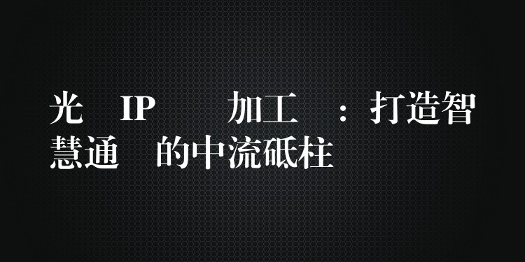 光纖IP電話加工廠:打造智慧通訊的中流砥柱 光纖IP電話加工廠:打造智慧通訊的中流砥柱