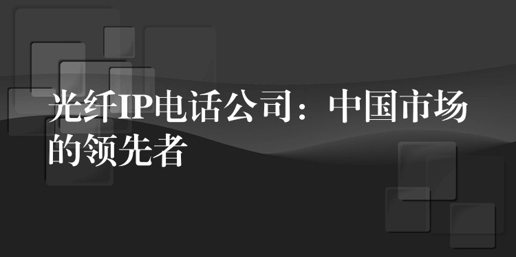  光纤IP电话公司：中国市场的领先者