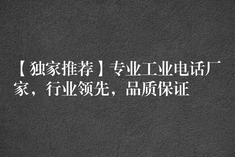 【独家推荐】专业工业电话厂家,行业领先,品质保证 【独家推荐】专业工业电话厂家,行业领先,品质保证