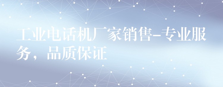 工业电话机厂家销售-专业服务,品质保证 工业电话机厂家销售-专业服务,品质保证