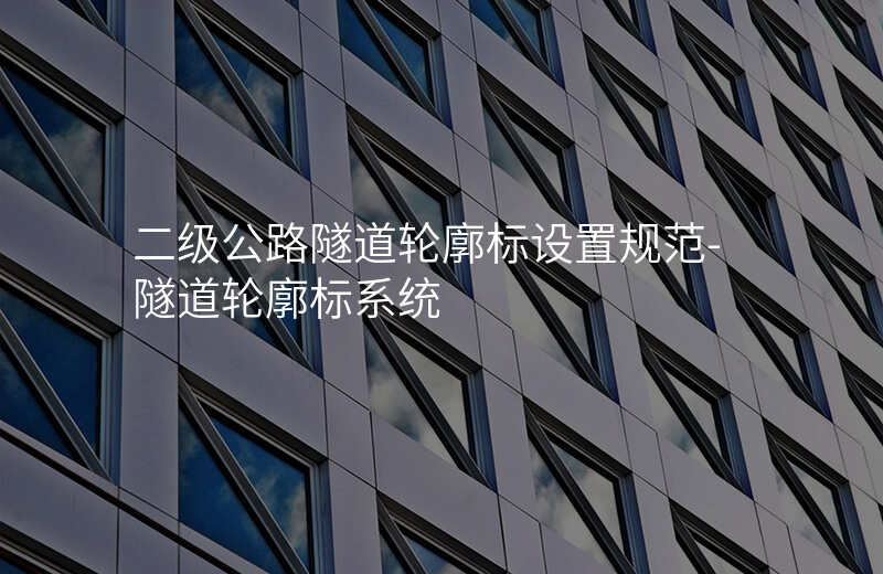 二级公路隧道轮廓标设置规范-隧道轮廓标系统