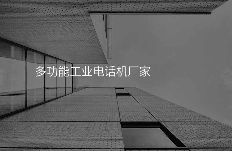  多功能工业电话机厂家
