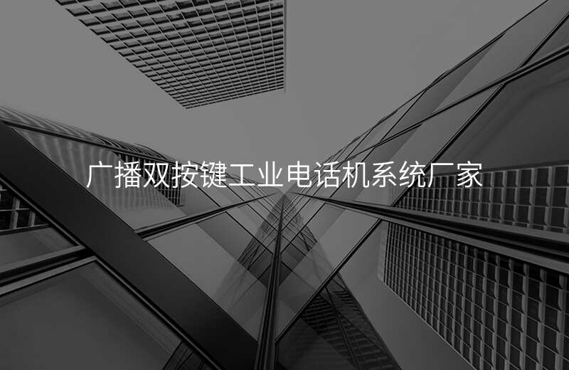  广播双按键工业电话机系统厂家
