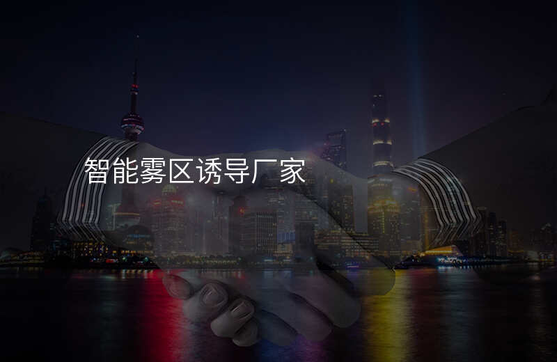  智能雾区诱导厂家