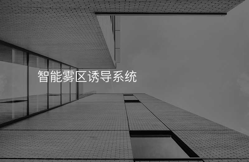  智能雾区诱导系统