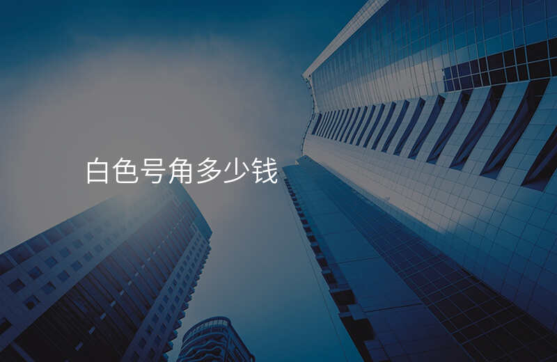  白色号角多少钱