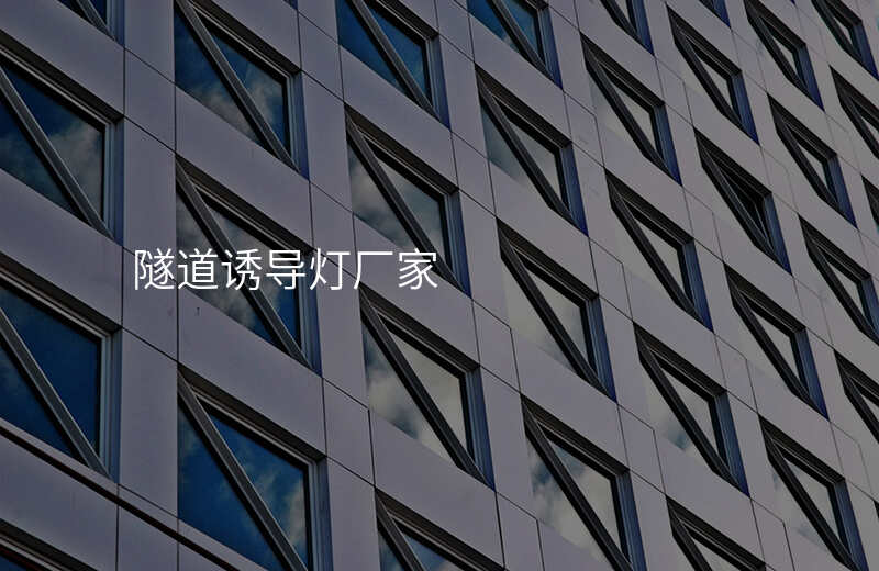  隧道诱导灯厂家